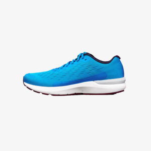 Streetwear Kicks